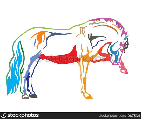 Colorful decorative portrait of horse standing in profile, horse exterior. Vector isolated illustration in different colors on white background. Image for design and tattoo.