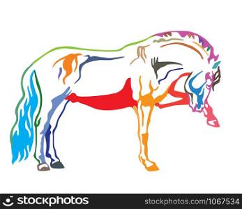 Colorful decorative portrait of horse standing in profile, horse exterior. Vector isolated illustration in different colors on white background. Image for design and tattoo.