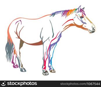 Colorful decorative portrait of horse standing in profile, horse exterior. Vector isolated illustration in in different colors on white background. Image for design and tattoo.