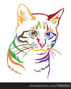 Colorful decorative portrait of mongrel Cat, contour vector illustration in different colors isolated on white background. Image for design, cards and tattoo.