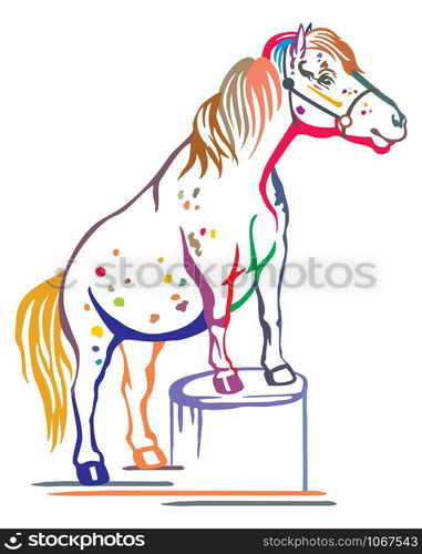 Colorful decorative portrait of pony standing in profile on a stump, training pony. Vector isolated illustration in black color on white background. Image for design and tattoo.