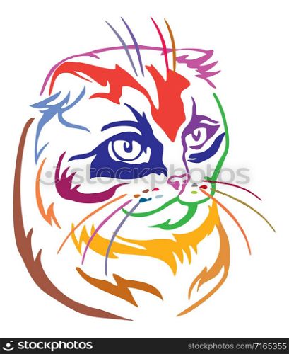 Colorful decorative portrait of scottish fold cat, contour vector illustration in different colors isolated on white background. Image for design and tattoo.