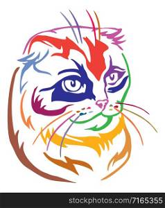 Colorful decorative portrait of scottish fold cat, contour vector illustration in different colors isolated on white background. Image for design and tattoo.