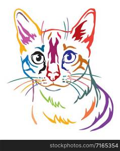 Colorful decorative portrait of Snow bengal Cat, contour vector illustration in different colors isolated on white background. Image for design, cards and tattoo.