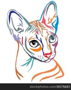 Colorful decorative portrait of sphynx cat vector image