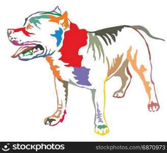 Colorful decorative portrait of standing in profile American Pit Bull Terrier, vector isolated illustration on white background