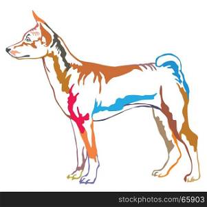 Colorful decorative portrait of standing in profile dog Basenji, vector isolated illustration on white background