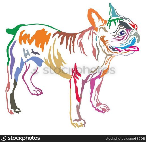 Colorful decorative portrait of standing in profile dog French Bulldog, vector isolated illustration on white background