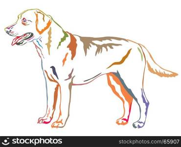 Colorful decorative portrait of standing in profile dog Labrador Retriever, vector isolated illustration on white background