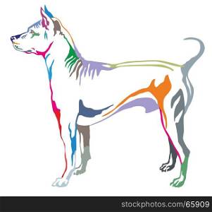 Colorful decorative portrait of standing in profile dog Thai Ridgeback, vector isolated illustration on white background