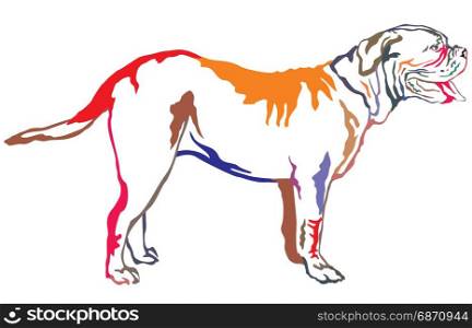 Colorful decorative portrait of standing in profile Dogue de Bordeaux, vector isolated illustration on white background