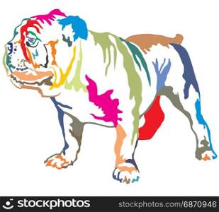 Colorful decorative portrait of standing in profile English bulldog, vector isolated illustration on white background