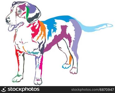 Colorful decorative portrait of standing in profile Entlebucher Mountain Dog, vector isolated illustration on white background