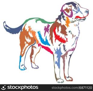 Colorful decorative portrait of standing in profile Greater Swiss Mountain Dog, vector isolated illustration on white background