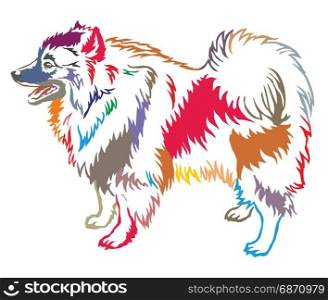 Colorful decorative portrait of standing in profile Keeshound, vector isolated illustration on white background