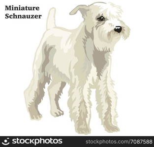 Colorful decorative portrait of standing in profile Miniature Schnauzer, vector isolated illustration on white background