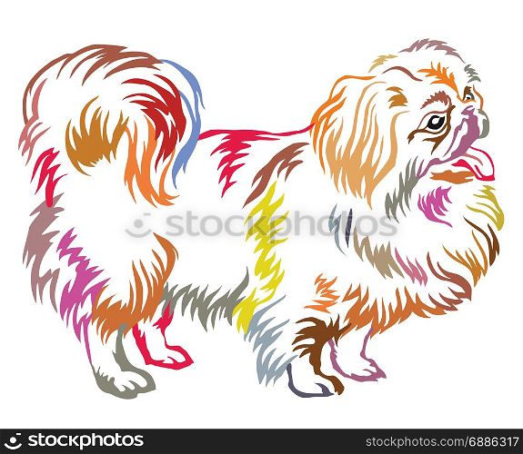 Colorful decorative portrait of standing in profile Pekingese, vector isolated illustration on white background