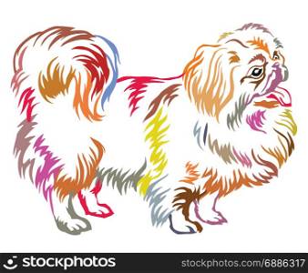 Colorful decorative portrait of standing in profile Pekingese, vector isolated illustration on white background