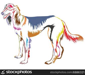 Colorful decorative portrait of standing in profile Persian Greyhound (Saluki), vector isolated illustration on white background