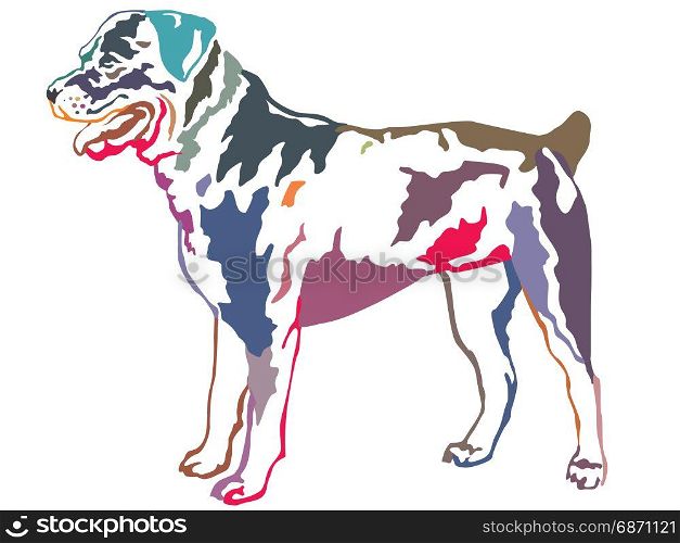 Colorful decorative portrait of standing in profile rotweiler, vector isolated illustration on white background