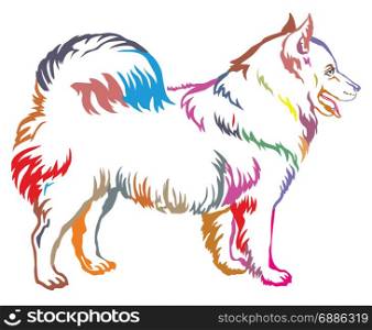 Colorful decorative portrait of standing in profile Samoyed Dog, vector isolated illustration on white background