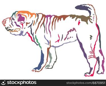 Colorful decorative portrait of standing in profile Shar Pei, vector isolated illustration on white background