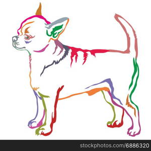 Colorful decorative portrait of standing in profile short haired Chihuahua, vector isolated illustration on white background