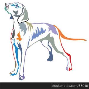 Colorful decorative portrait of standing in profile Weimaraner, vector isolated illustration on white background