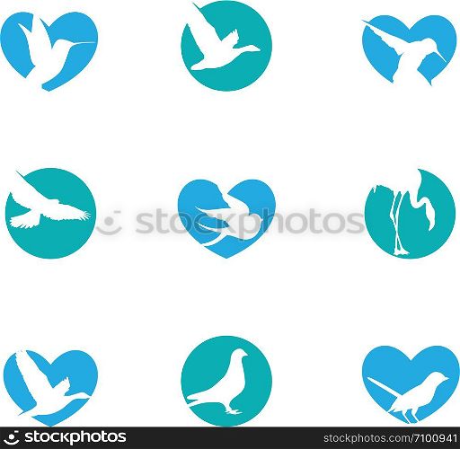 colorful eagle illustration in heart, hawk, dove humming bird vector logo design
