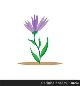 Colorful flower isolated on a white background for design and theme design. Vector illustration, flat style