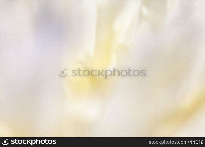 Colorful flowers in soft color and blur style for background. The colorful flowers in soft color and blur style for background