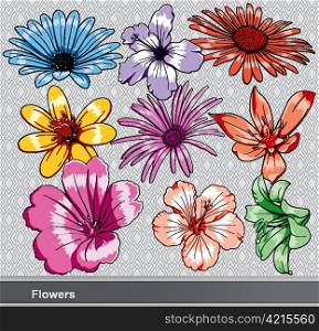 colorful flowers set vector illustration