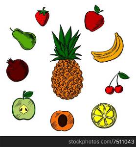 Colorful fresh fruits icons in sketch style with tropical pineapple, surrounded with green and red apples, orange, apricot, bananas, pear, pomegranate, strawberry and cherry. Fresh tropical and garden fruits sketches