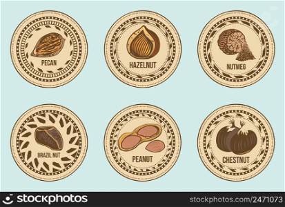Colorful fresh nuts round labels set with different sorts of seeds on light background isolated vector illustration. Colorful Fresh Nuts Round Labels Set