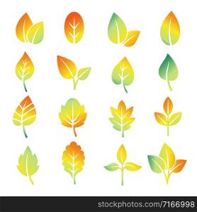 Colorful gradient leaf silhouettes. Vector green, orange, yellow leaves isolated on white background. Colorful gradient leaf silhouettes