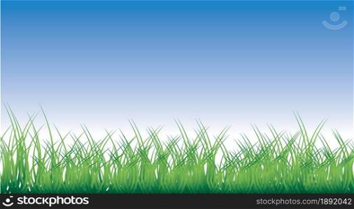 Colorful grass and sky mock up background. Vector illustration.