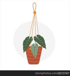 Colorful hand drawn flat houseplant isolated on white background