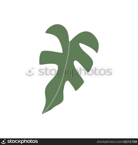 Colorful hand drawn flat houseplant isolated on white background