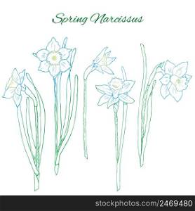 Colorful hand drawn flowers concept with blooming natural narcissus on white background vector illustration. Colorful Hand Drawn Flowers Concept