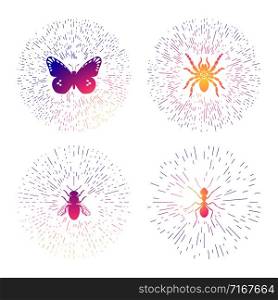 Colorful hipster line logo templates set with insects. Thin line insects labels isolated on white background. Illustration of ant and fly, spider and butterfly. Colorful hipster line logo templates set with insects. Thin line insects labels isolated on white background