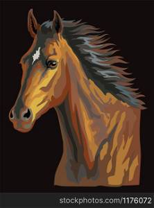 Colorful horse portrait. Bay horse head with long mane isolated on black background. Colorful vector illustration of bay horse. Retro style portrait of running horse.