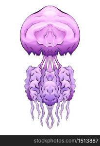 Colorful illustration of jellyfish. The object is separate from the background. Illustration for printing on T-shirts, covers, sketches of tattoos and your design.. Colorful illustration of jellyfish. The object is separate from the background.