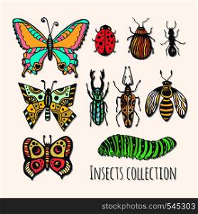 Colorful insects collection. Hand drawn set for icons, logo or print. Vector illustration.. Colorful insects collection. Hand drawn set for icons, logo or print. Vector illustration
