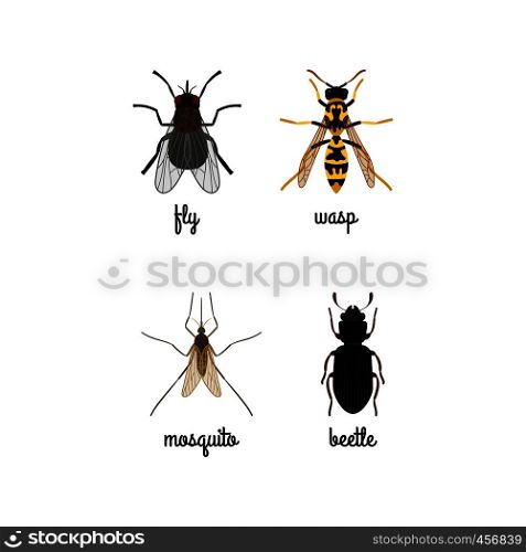 Colorful insects vector set with names isolated on white. Colorful insects icons set with names