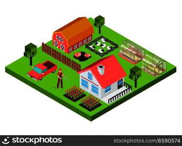 Colorful isometric concept with farmer barn cottage cattle and greenhouse 3d vector illustration. Farm Isometric Concept