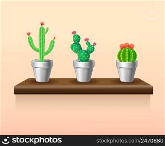 Colorful light houseplants set with green cactuses in flowerpots standing on table isolated vector illustration. Colorful Light Houseplants Set