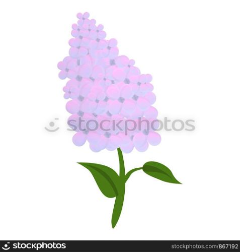 Colorful lilac icon. Cartoon of colorful lilac vector icon for web design isolated on white background. Colorful lilac icon, cartoon style