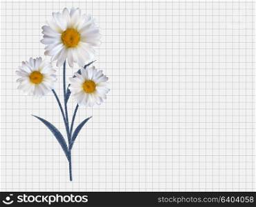 Colorful Naturalistic Beautiful 3D Chamomile Background Vector Illustration. Eps10. Colorful Naturalistic Beautiful 3D Chamomile Background Vector I