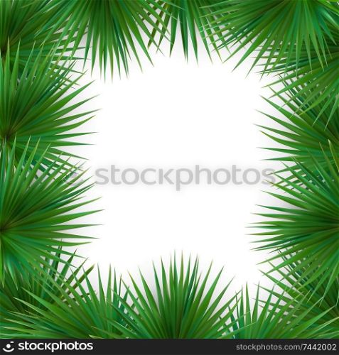 Colorful naturalistic frame from the leaf of the Libistones of Chinese Southern palm . Vector Illustration. EPS10. Colorful naturalistic frame from the leaf of the Libistones of C