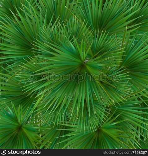 Colorful naturalistic silhouette of leaf Libistones of Chinese, Southern palm. Vector Illustration. EPS10. Colorful naturalistic silhouette of leaf Libistones of Chinese, Southern palm. Vector Illustration
